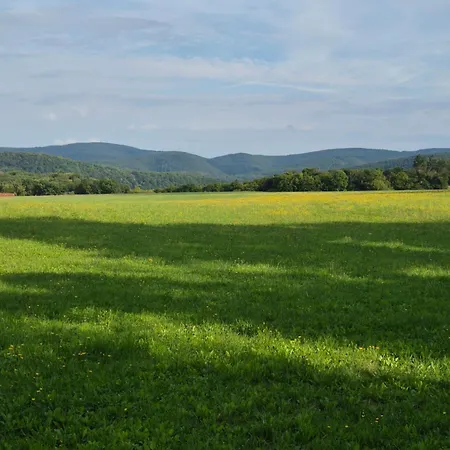 Ziegler 펜션 Vöhl