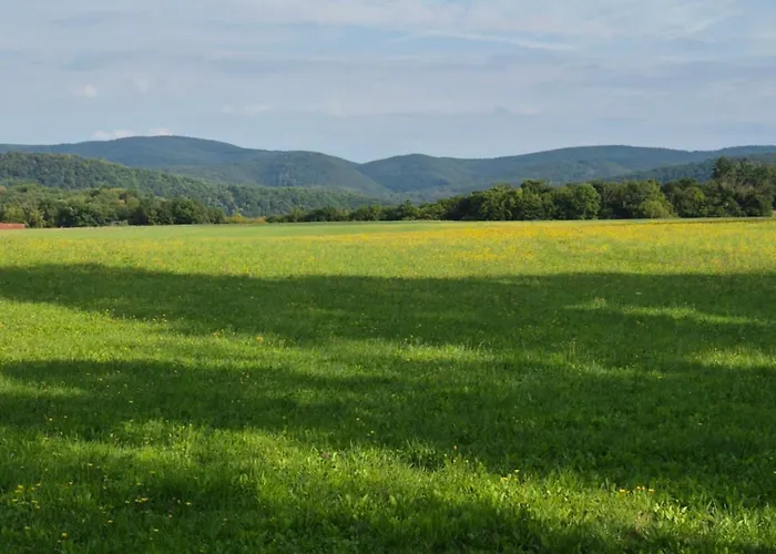 Ziegler Prázdninový dům Vöhl