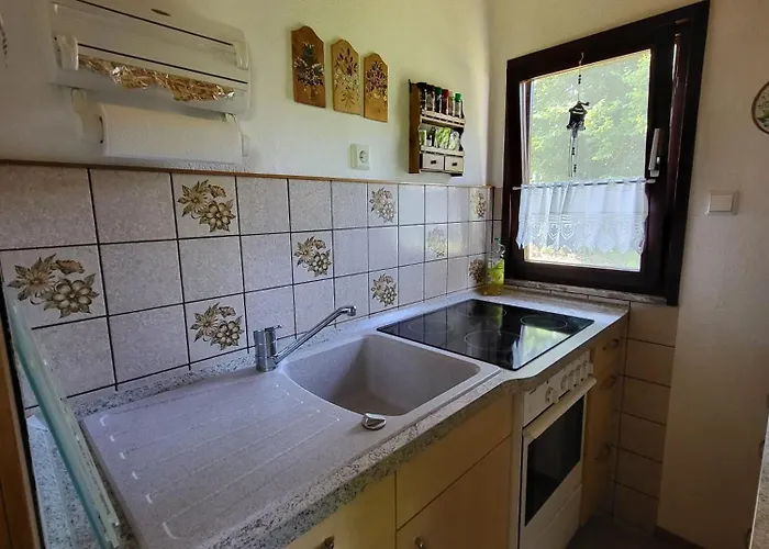 Ziegler Prázdninový dům